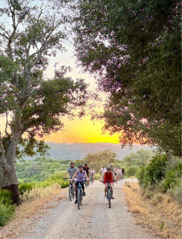  “Almoraima Under the Stars”  e-Bike  Route