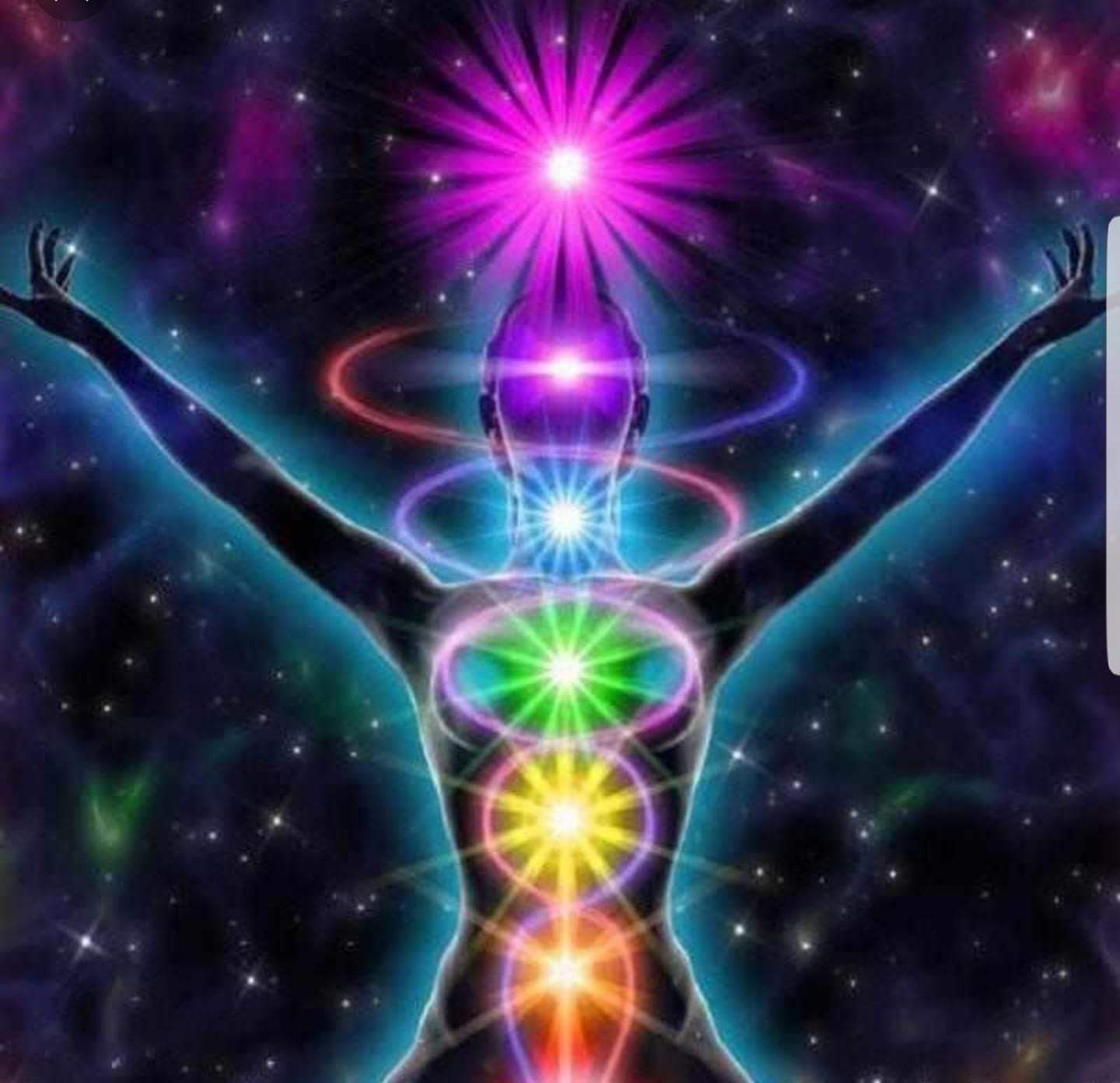 DANZA KUNDALINI BPREMIUM EVENTS