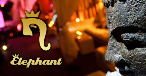 FRIDAY PARTY ELEPHANT