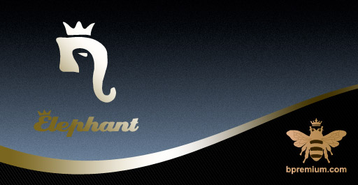SATURDAY PARTY AT ELEPHANT ELEPHANT