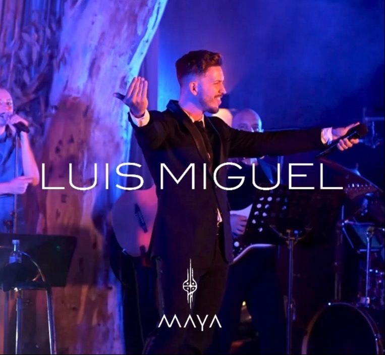 LUIS MIGUEL. Tributo Oficial.