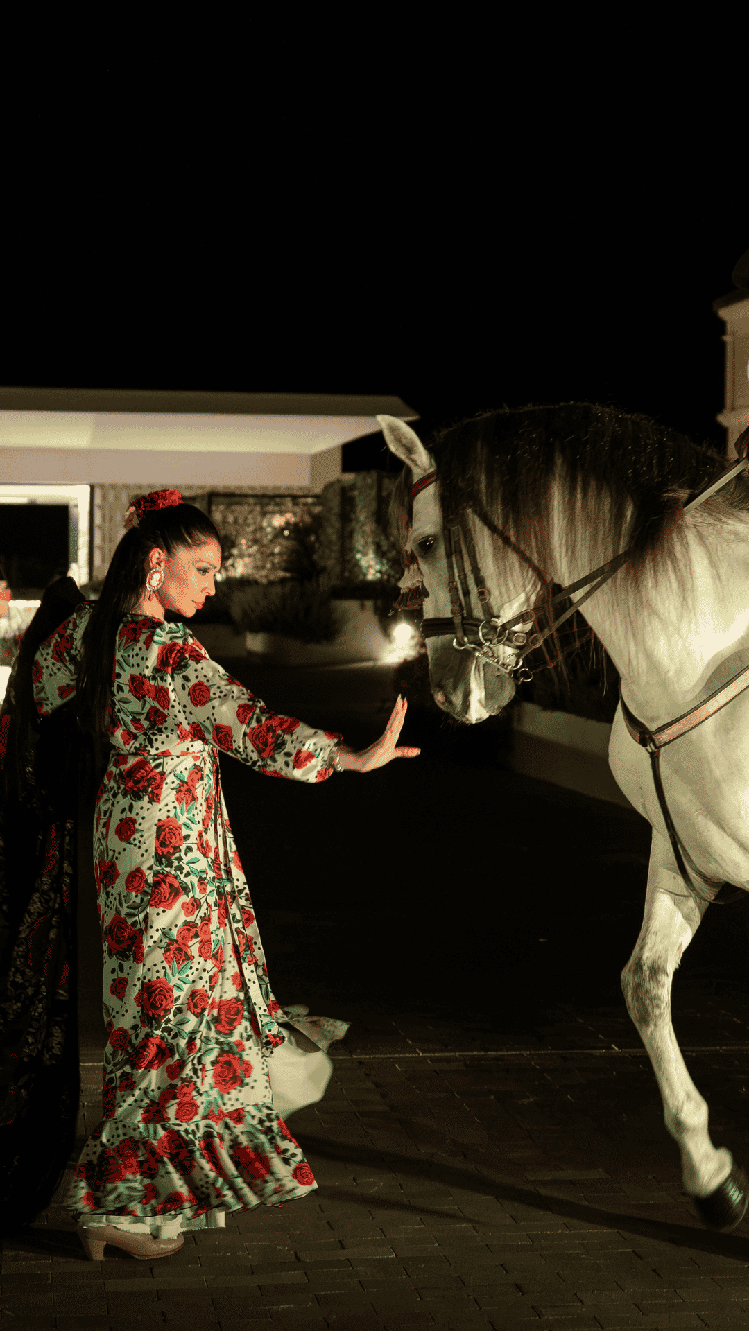 ANDALUSIAN NIGHTS