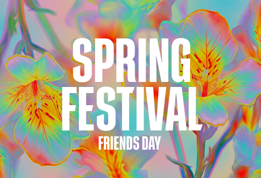 Spring Festival 2026: Friends Day (18+)