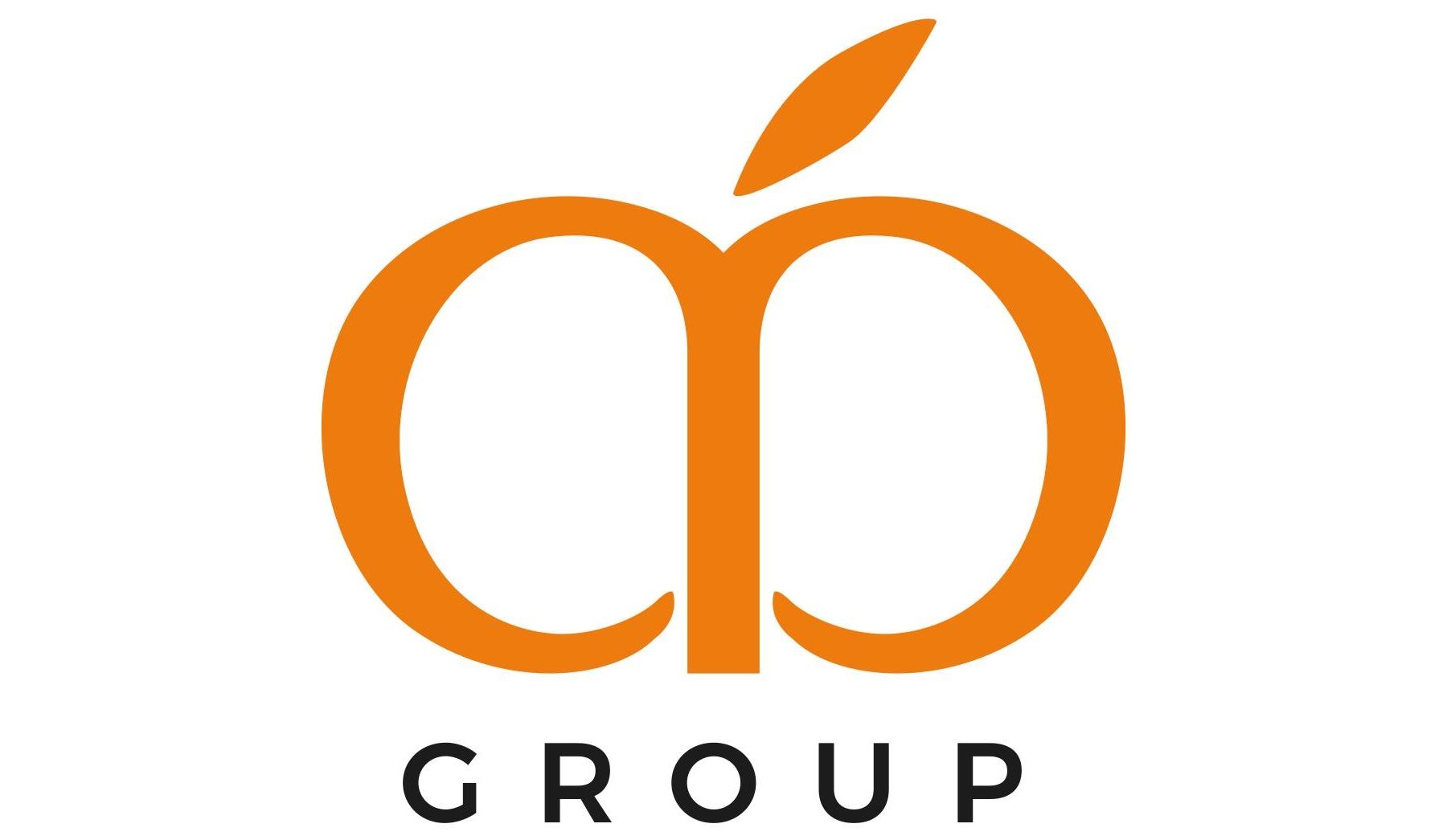 Mandarina Group